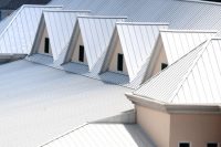 41243248 s metal roofs complex silver